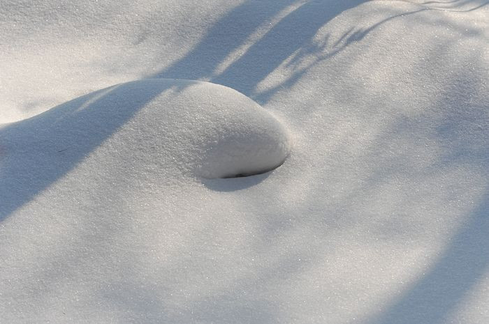 2011，兔年春节--之六 雪中漫游 - 小鱼滋味 - 小鱼滋味