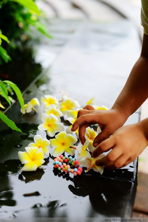 六月的雨，泡病号的小衣襟 - 小鱼滋味 - 小鱼滋味