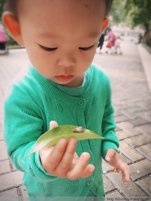 小蜗牛，让我带着你回家 - 小鱼滋味 - 小鱼滋味