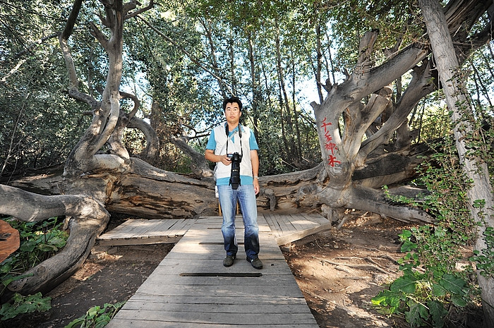 在那遥远的地方（之十 库车老城－库车王府－大清真寺－天山神木园－阿克苏） - 小鱼滋味 - 小鱼滋味