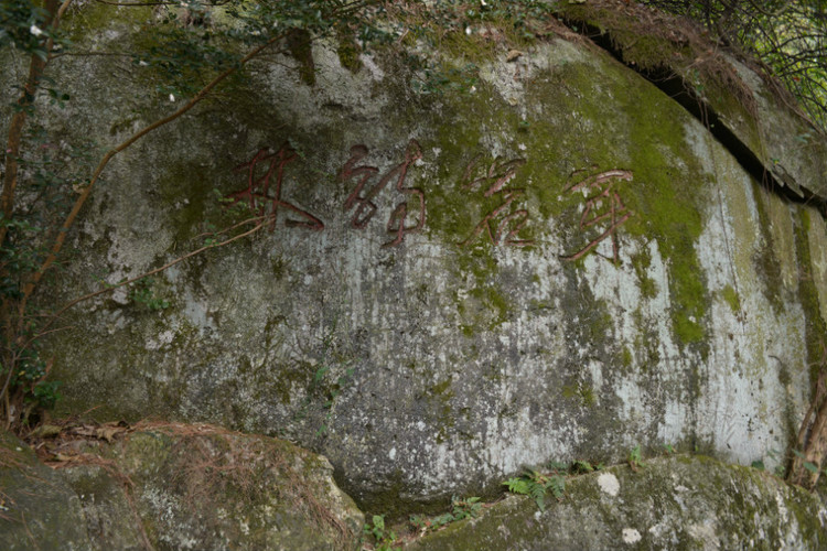 坐高铁，游南岳衡山 - 小鱼滋味 - 小鱼滋味