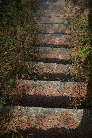 坐高铁，游南岳衡山 - 小鱼滋味 - 小鱼滋味