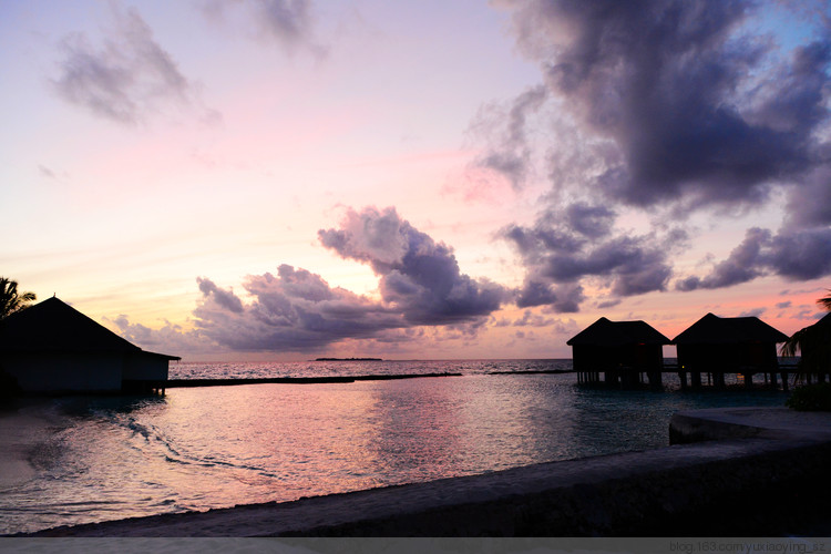 【有一种色彩叫马尔代夫】 浪漫的纪念日 - 小鱼滋味 - 小鱼滋味