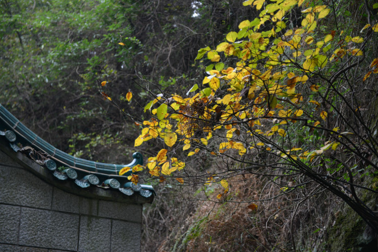 坐高铁，游南岳衡山 - 小鱼滋味 - 小鱼滋味