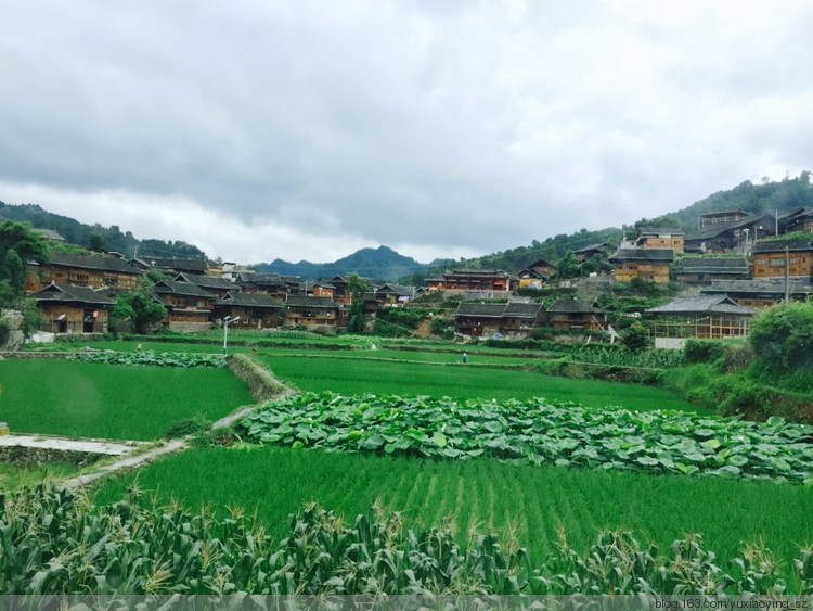 【带着宝宝去旅行】 贵州 · 凯里 西江千户苗寨 - 小鱼滋味 - 小鱼滋味