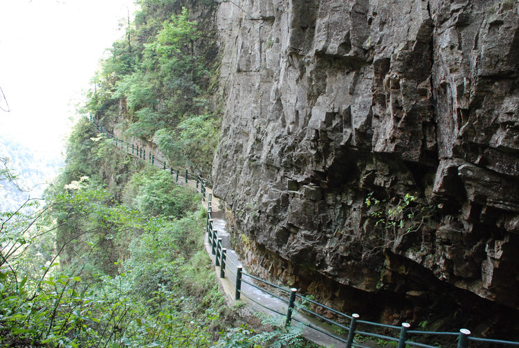 红色井冈山 - 小鱼滋味 - 小鱼滋味