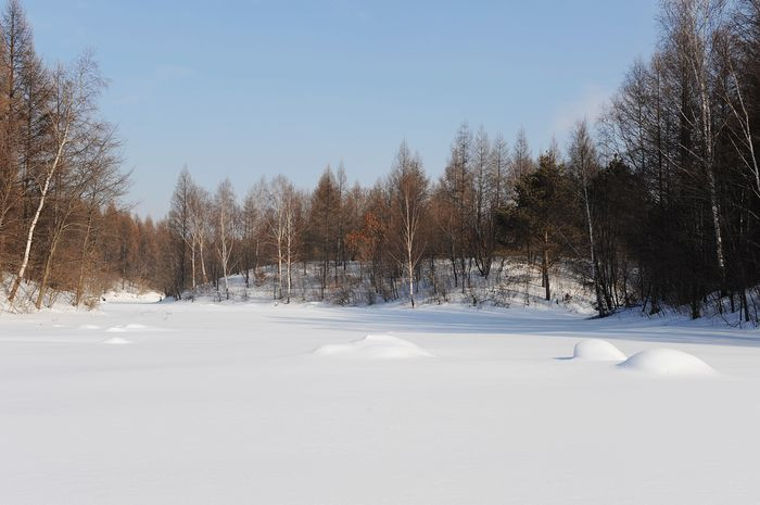 2011，兔年春节--之六 雪中漫游 - 小鱼滋味 - 小鱼滋味