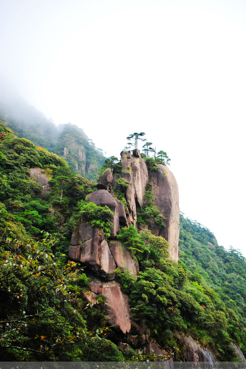 【忘记带宝宝的长假旅行】三清山景色，可与黄山媲美 - 小鱼滋味 - 小鱼滋味