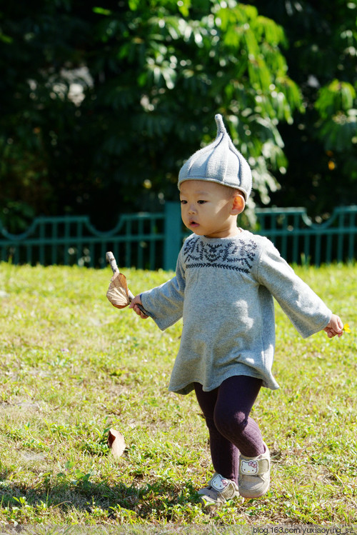 2015年11月29日 - 小鱼滋味 - 小鱼滋味