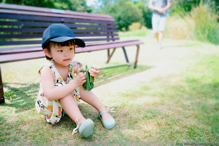 【在夏天里过年】 迷失在夏日的满园香氲中 - 小鱼滋味 - 小鱼滋味