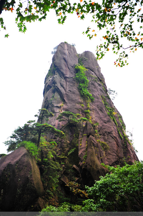 【忘记带宝宝的长假旅行】三清山景色，可与黄山媲美 - 小鱼滋味 - 小鱼滋味