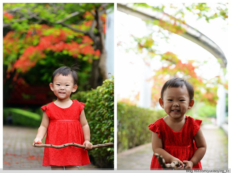 花开时节动鹏城 - 小鱼滋味 - 小鱼滋味 花开时节动鹏城 - 小鱼滋味 - 小鱼滋味
