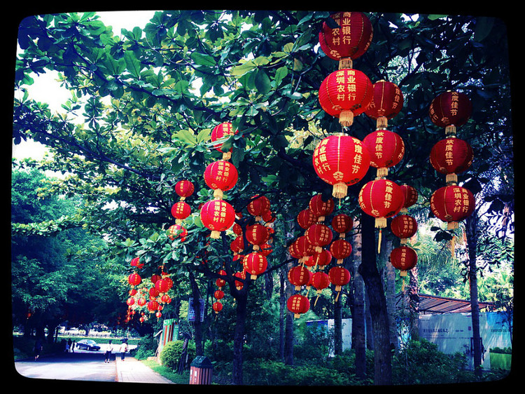 深圳莲花山公园 · 国庆节的那一天 - 小鱼滋味 - 小鱼滋味