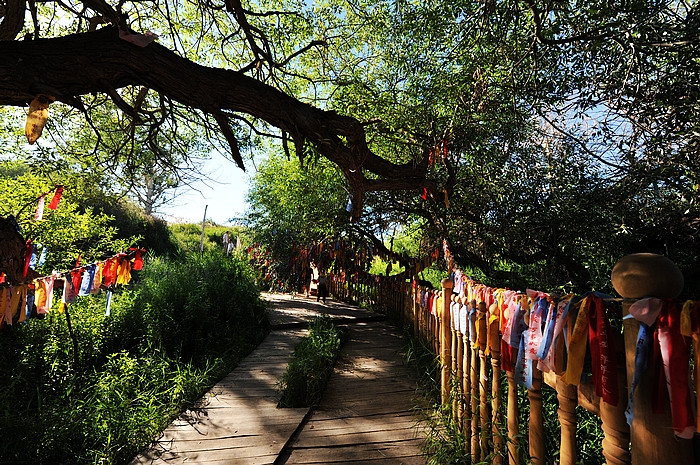 在那遥远的地方（之十 库车老城－库车王府－大清真寺－天山神木园－阿克苏） - 小鱼滋味 - 小鱼滋味