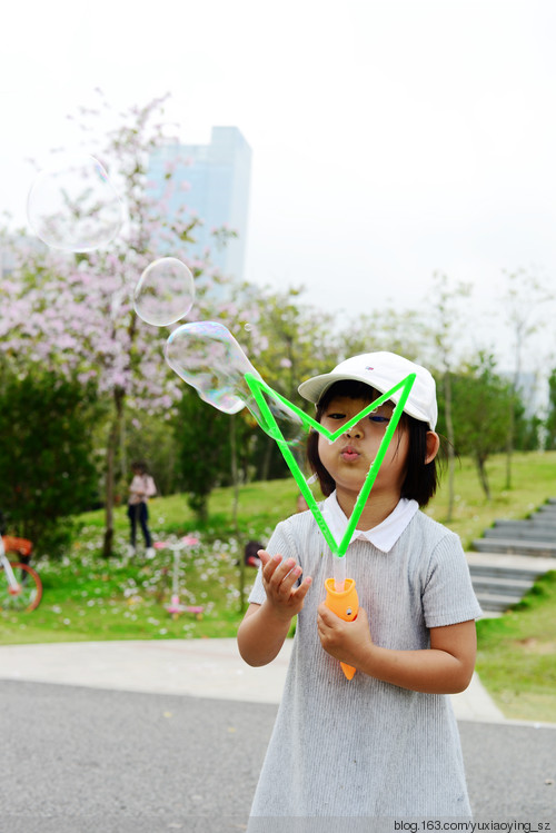 【深圳 · 中心公园】 春天里，百花香 - 小鱼滋味 - 小鱼滋味