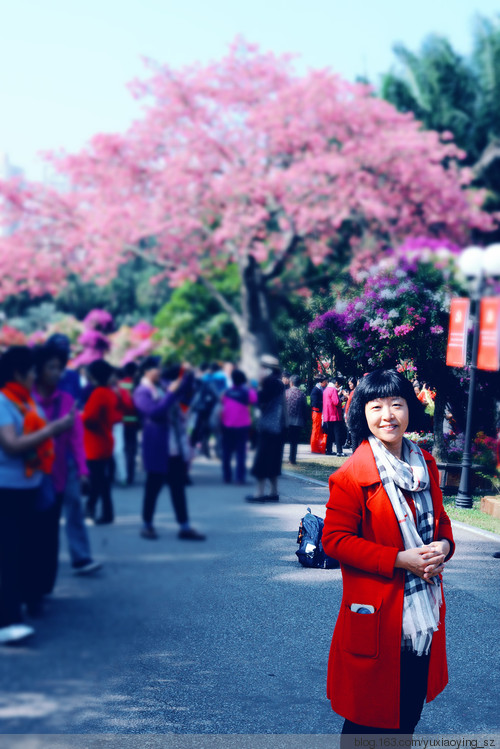 繁花似锦 · 生日快乐 - 小鱼滋味 - 小鱼滋味