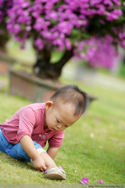 市花丛中的小衣襟 - 小鱼滋味 - 小鱼滋味