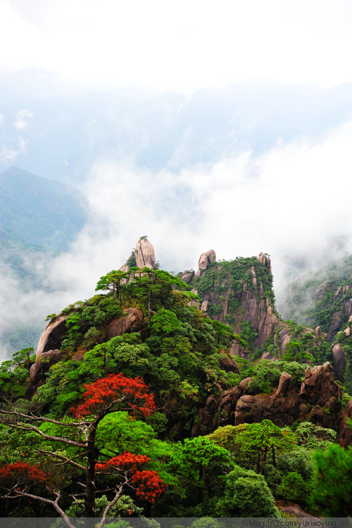 【忘记带宝宝的长假旅行】三清山景色，可与黄山媲美 - 小鱼滋味 - 小鱼滋味