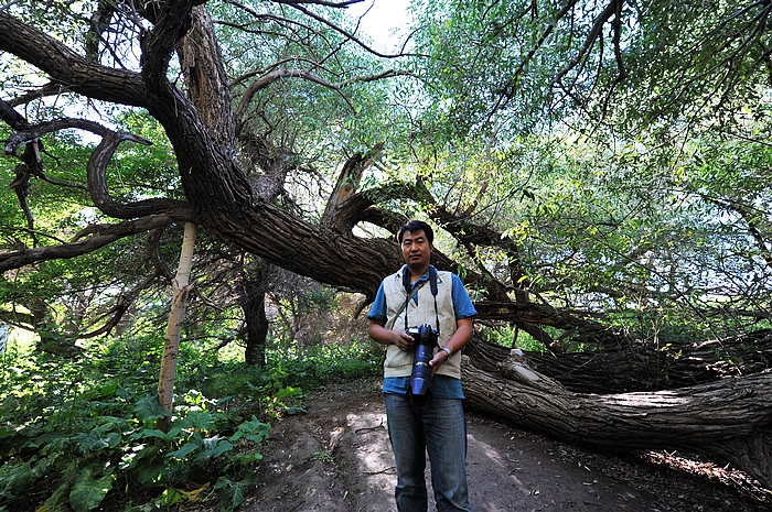 在那遥远的地方（之十 库车老城－库车王府－大清真寺－天山神木园－阿克苏） - 小鱼滋味 - 小鱼滋味