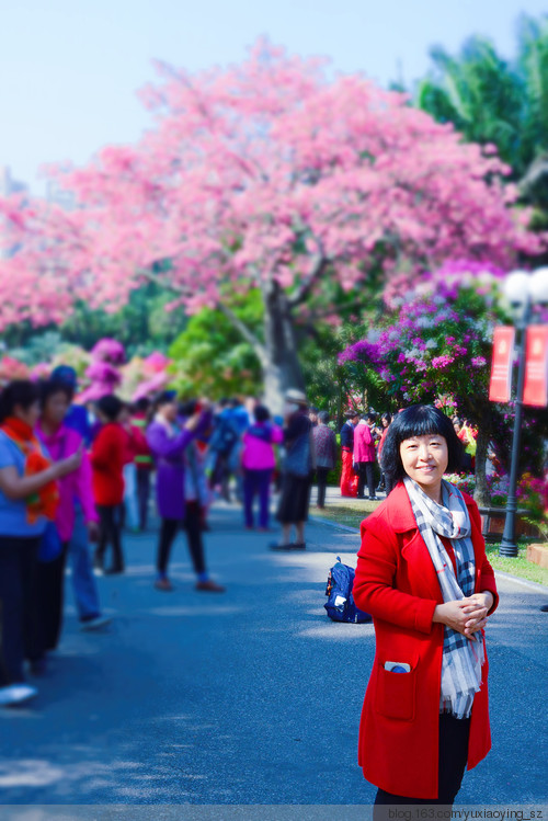 繁花似锦 · 生日快乐 - 小鱼滋味 - 小鱼滋味