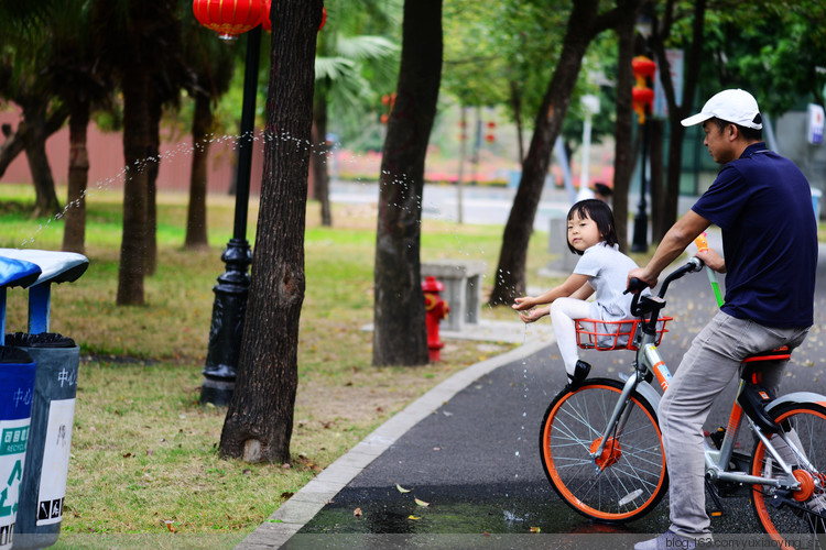 【深圳 · 中心公园】 春天里，百花香 - 小鱼滋味 - 小鱼滋味