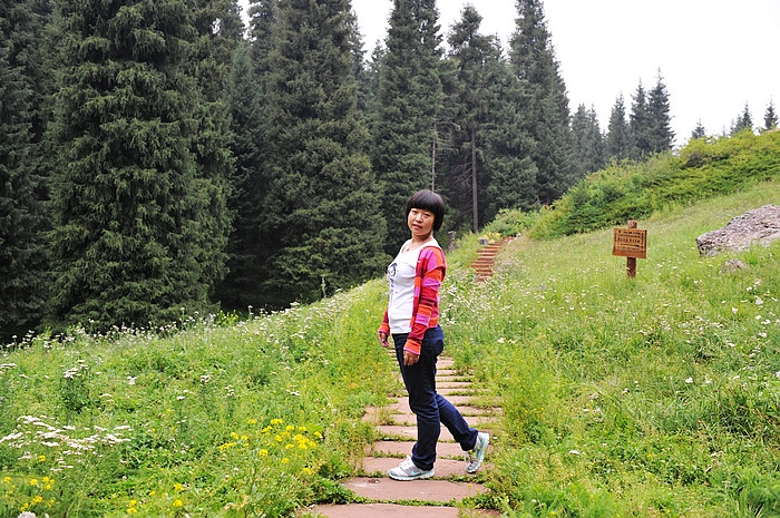 在那遥远的地方(之二 天山天池－古尔班通古特沙漠－五彩湾） - 小鱼滋味 - 小鱼滋味