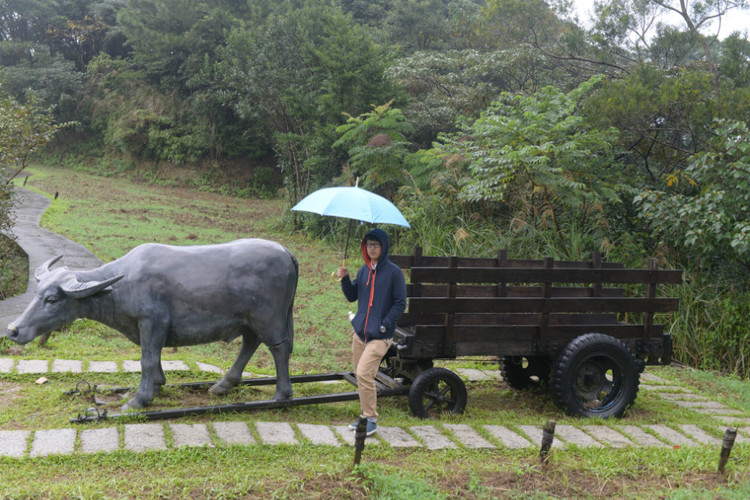 【冬季到台北来看雨】 终结篇 · 最后的台北 - 小鱼滋味 - 小鱼滋味