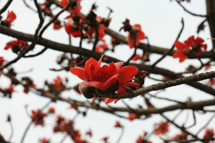 2012年03月20日 - 小鱼滋味 - 小鱼滋味