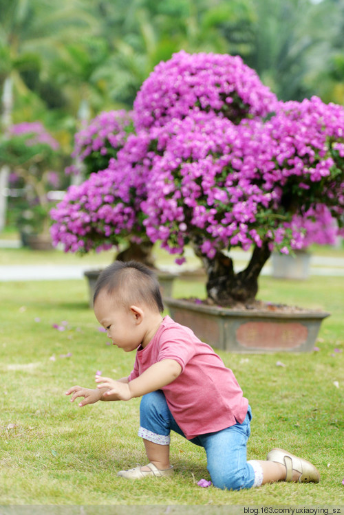 市花丛中的小衣襟 - 小鱼滋味 - 小鱼滋味