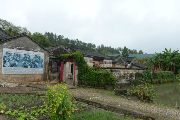 苏家围 - 小鱼滋味 - 小鱼滋味