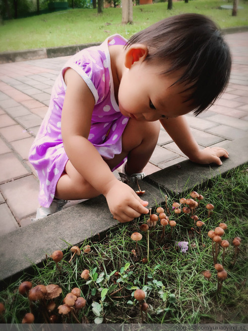 雨后,草地上的蘑菇和小女孩 - 小鱼滋味 - 小鱼滋味 雨后,草地上的蘑菇和小女孩 - 小鱼滋味 - 小鱼滋味