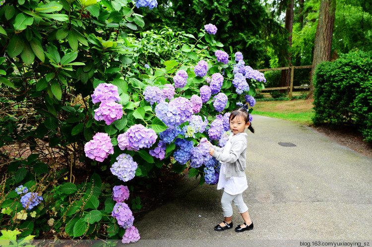 【走进加拿大的冰冻の 夏】 夏日的清凉与芬芳，尽在温哥华 - 小鱼滋味 - 小鱼滋味