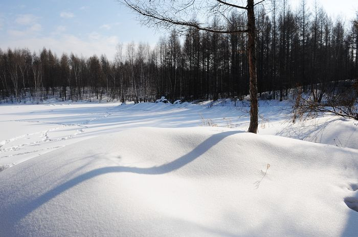 2011，兔年春节--之六 雪中漫游 - 小鱼滋味 - 小鱼滋味