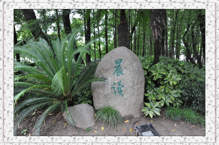 参观复旦大学 - 小鱼滋味 - 小鱼滋味