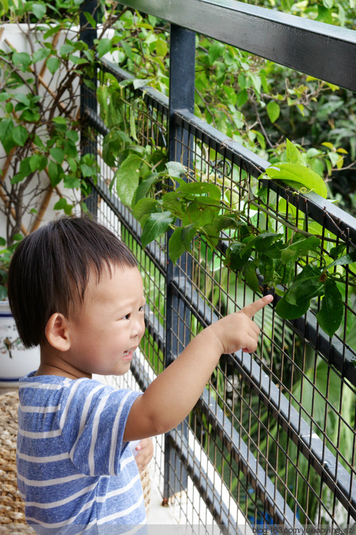 小蜗牛，让我带着你回家 - 小鱼滋味 - 小鱼滋味