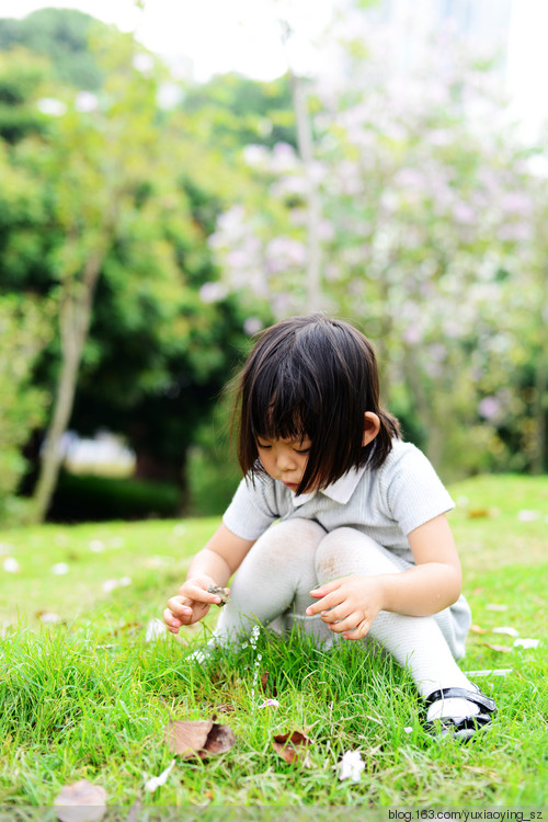 【深圳 · 中心公园】 春天里，百花香 - 小鱼滋味 - 小鱼滋味