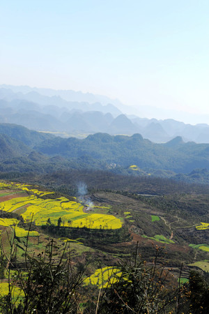 【云南春梦】 罗平 · 十万大山 - 小鱼滋味 - 小鱼滋味