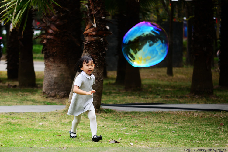 【深圳 · 中心公园】 春天里，百花香 - 小鱼滋味 - 小鱼滋味