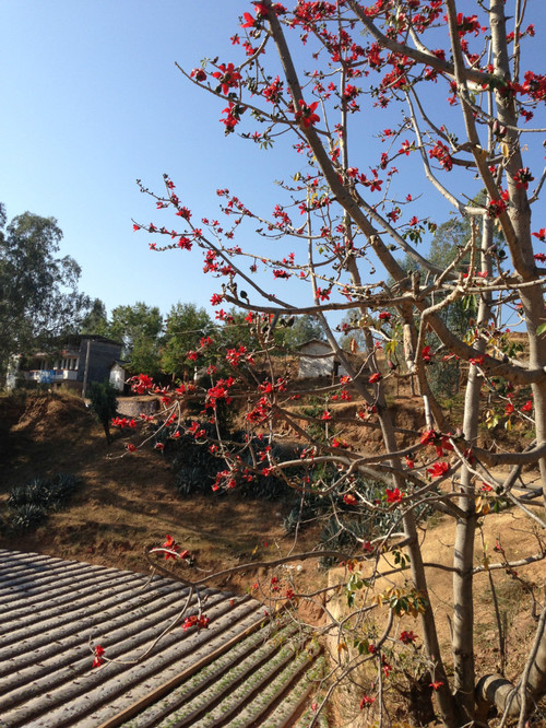 【云南春梦】 元谋土林 - 东川红土地 - 小鱼滋味 - 小鱼滋味