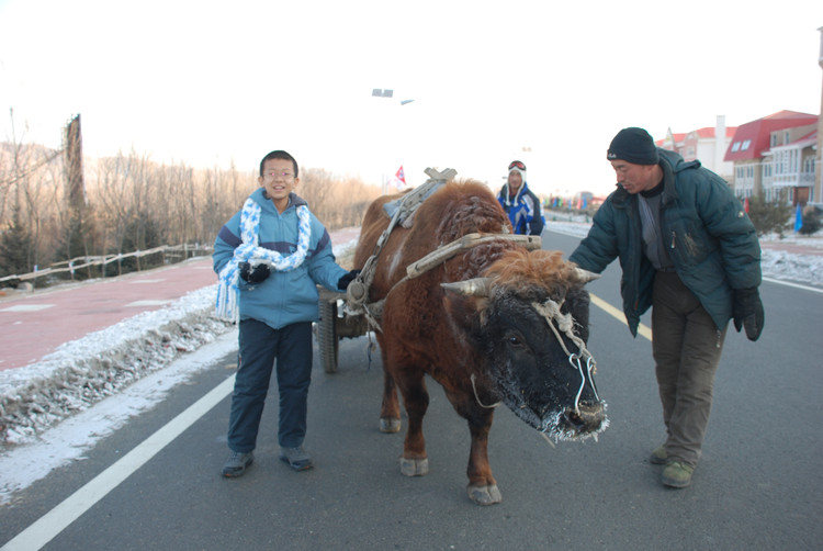 【2008，过年】 之二 亚不力滑雪遭遇的尴尬 - 小鱼滋味 - 小鱼滋味