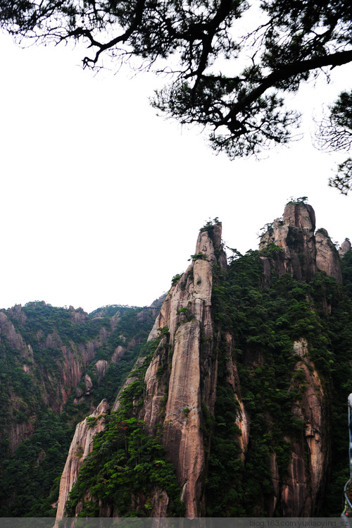 【忘记带宝宝的长假旅行】三清山景色，可与黄山媲美 - 小鱼滋味 - 小鱼滋味