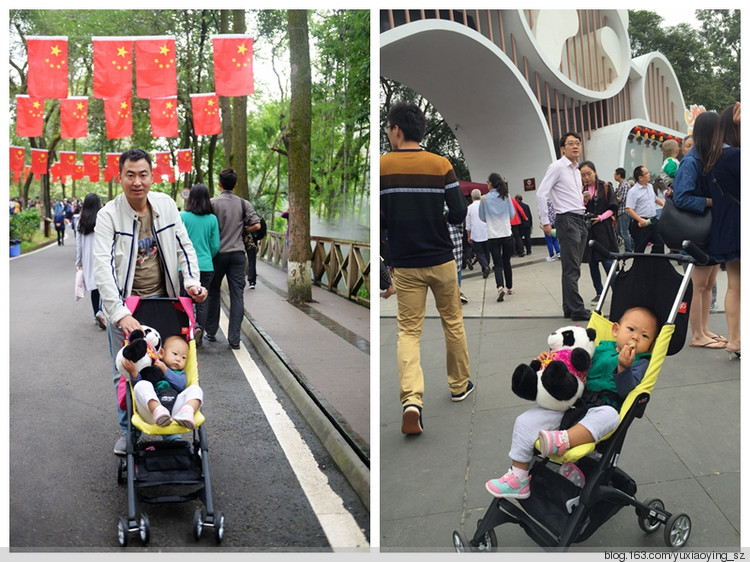 【带着宝宝去旅行】 成都 熊猫基地  锦里 - 小鱼滋味 - 小鱼滋味