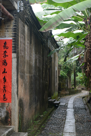 苏家围 - 小鱼滋味 - 小鱼滋味