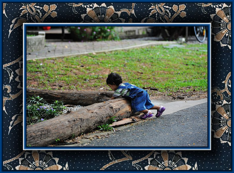 2011年01月20日 - 小鱼滋味 - 小鱼滋味