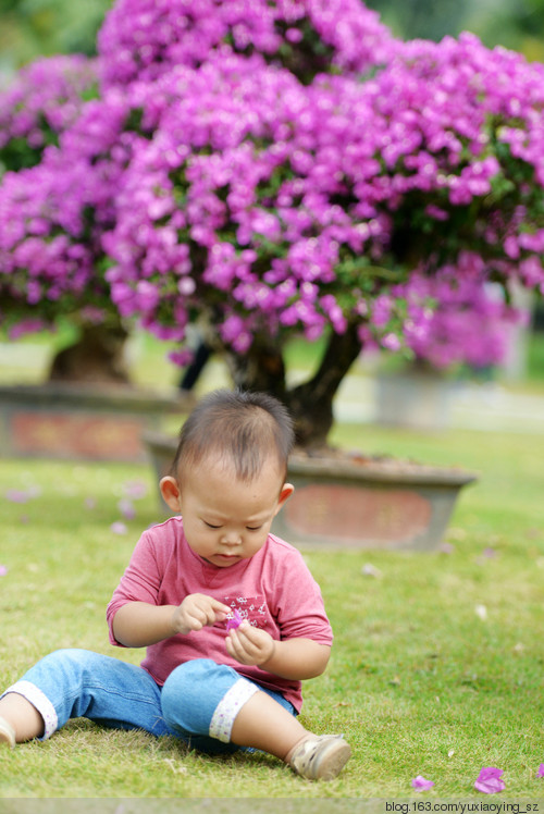 市花丛中的小衣襟 - 小鱼滋味 - 小鱼滋味