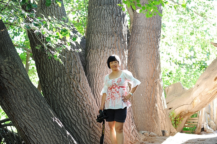 在那遥远的地方（之十 库车老城－库车王府－大清真寺－天山神木园－阿克苏） - 小鱼滋味 - 小鱼滋味