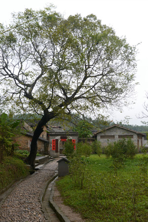 苏家围 - 小鱼滋味 - 小鱼滋味 苏家围 - 小鱼滋味 - 小鱼滋味
