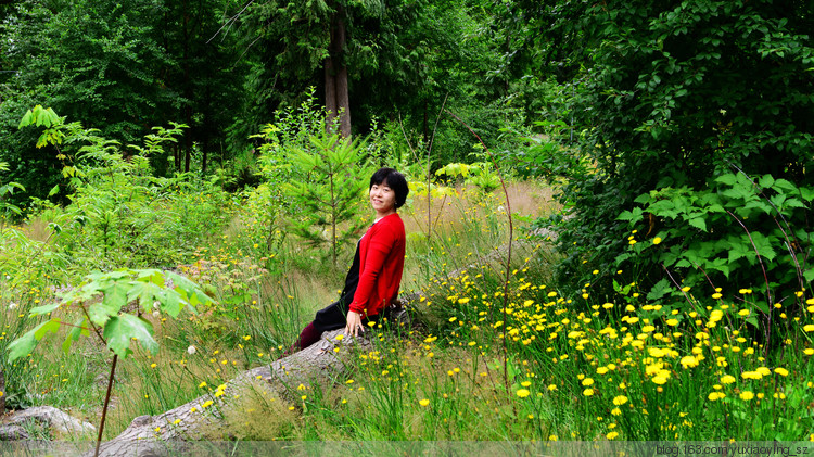 【走进加拿大的冰冻の 夏】 夏日的清凉与芬芳，尽在温哥华 - 小鱼滋味 - 小鱼滋味