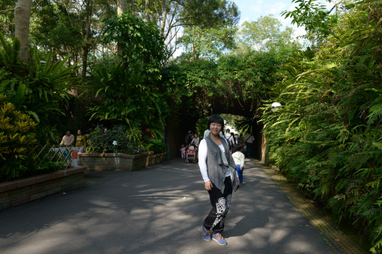 【冬季到台北来看雨】 台北，参观台北动物园  国立台湾大学 - 小鱼滋味 - 小鱼滋味