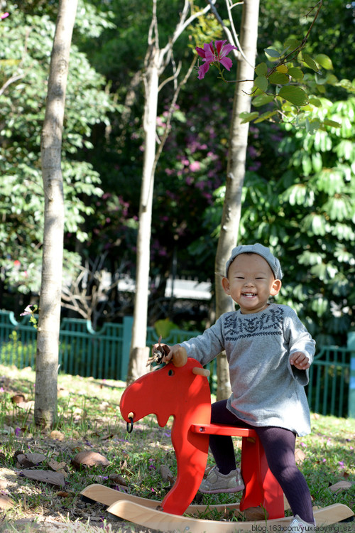 2015年11月29日 - 小鱼滋味 - 小鱼滋味